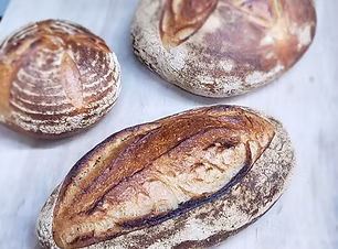 Artisan Bread